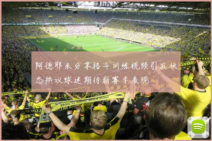 阿德耶米分享格斗训练视频引发状态热议球迷期待新赛季表现